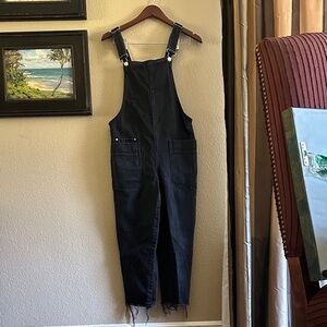 Zara Women's Dark Denim Overalls